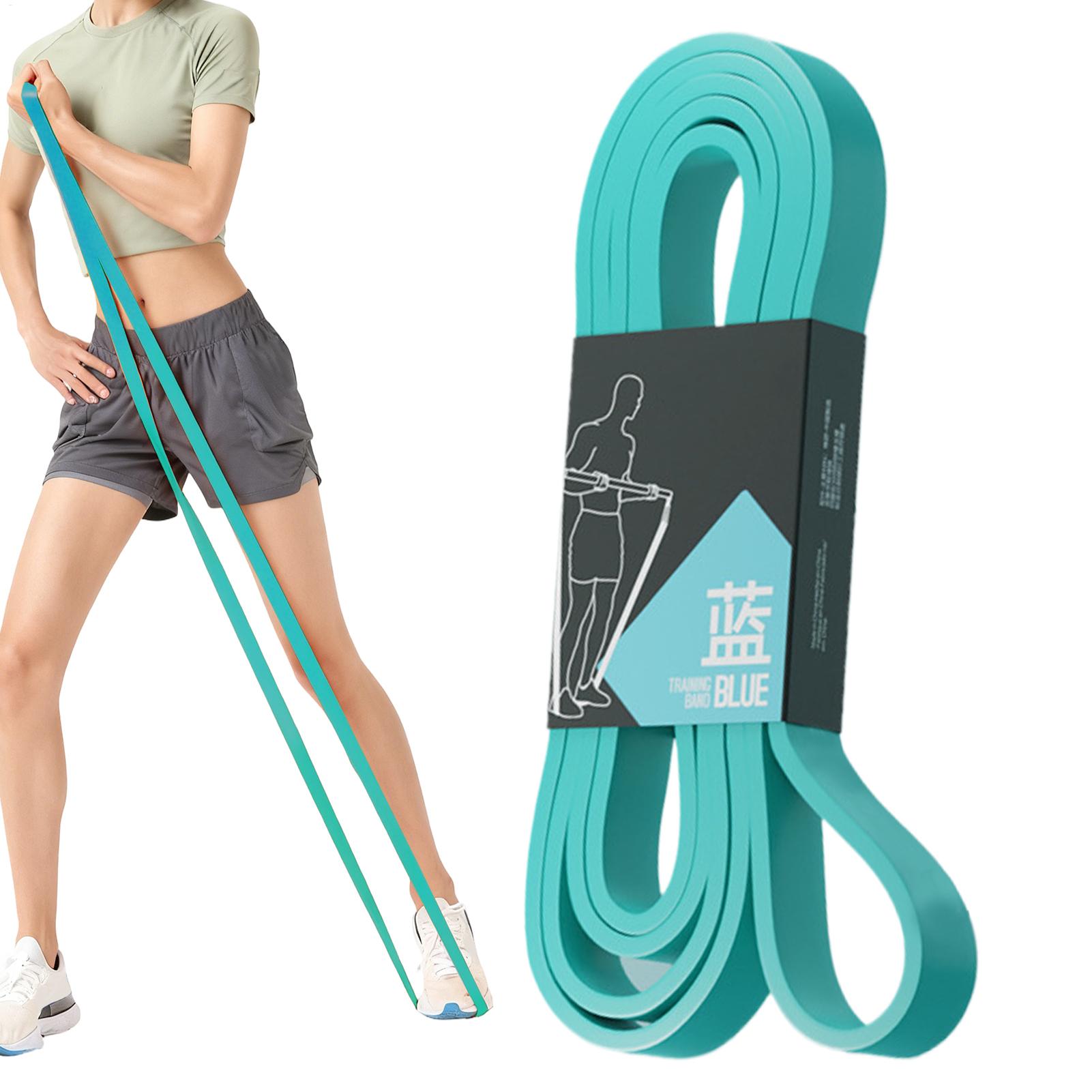 Workout Resistance Bands Elast - đánh giá và giá Pull Up Assist Band
